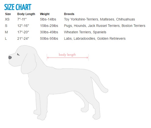 Boston Terrier Size Chart